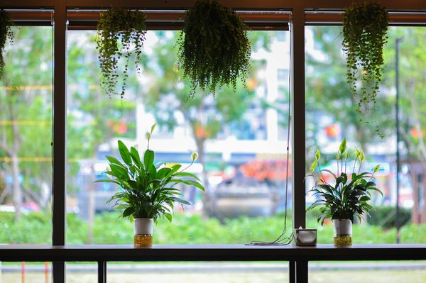 L'art de la bière : recettes savoureuses et événements festifs