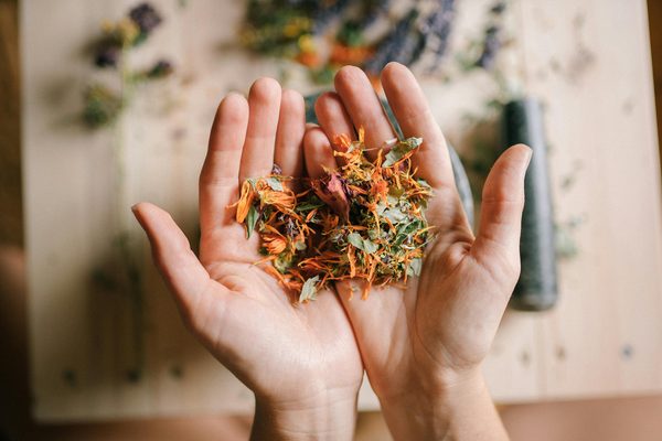 Naturopathe sopk : solutions naturelles pour votre bien-être
