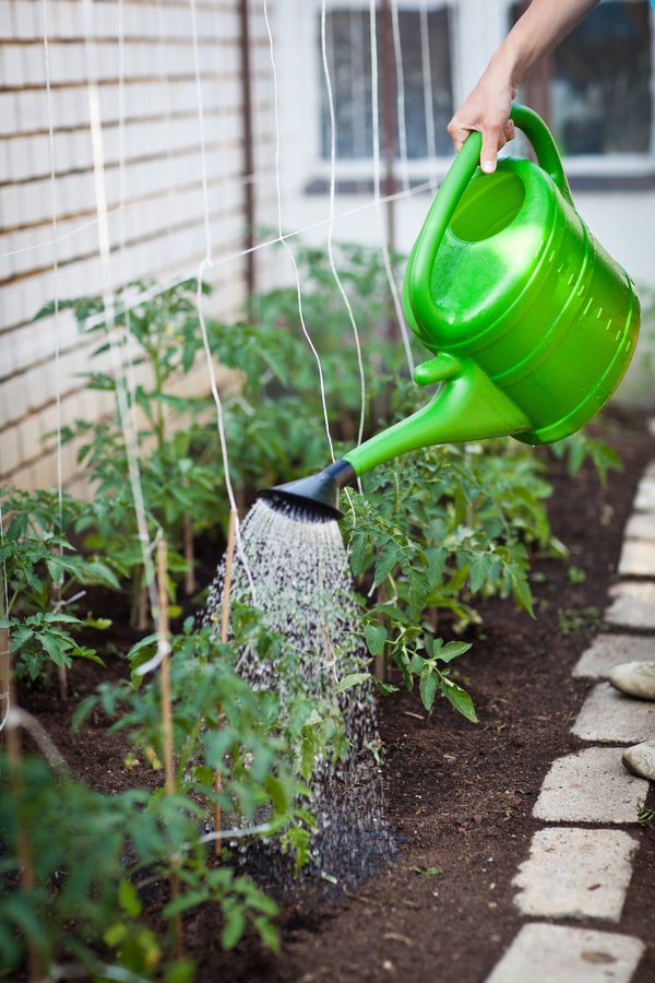 10 raisons d'adopter la permaculture à genève