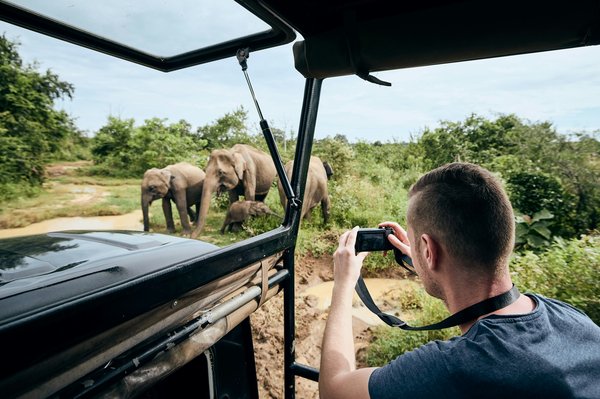 Les secrets d'un safari en tanzanie : conseils et astuces